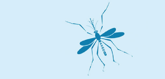 Dengue, Zika y Chicungunya: información y prevención