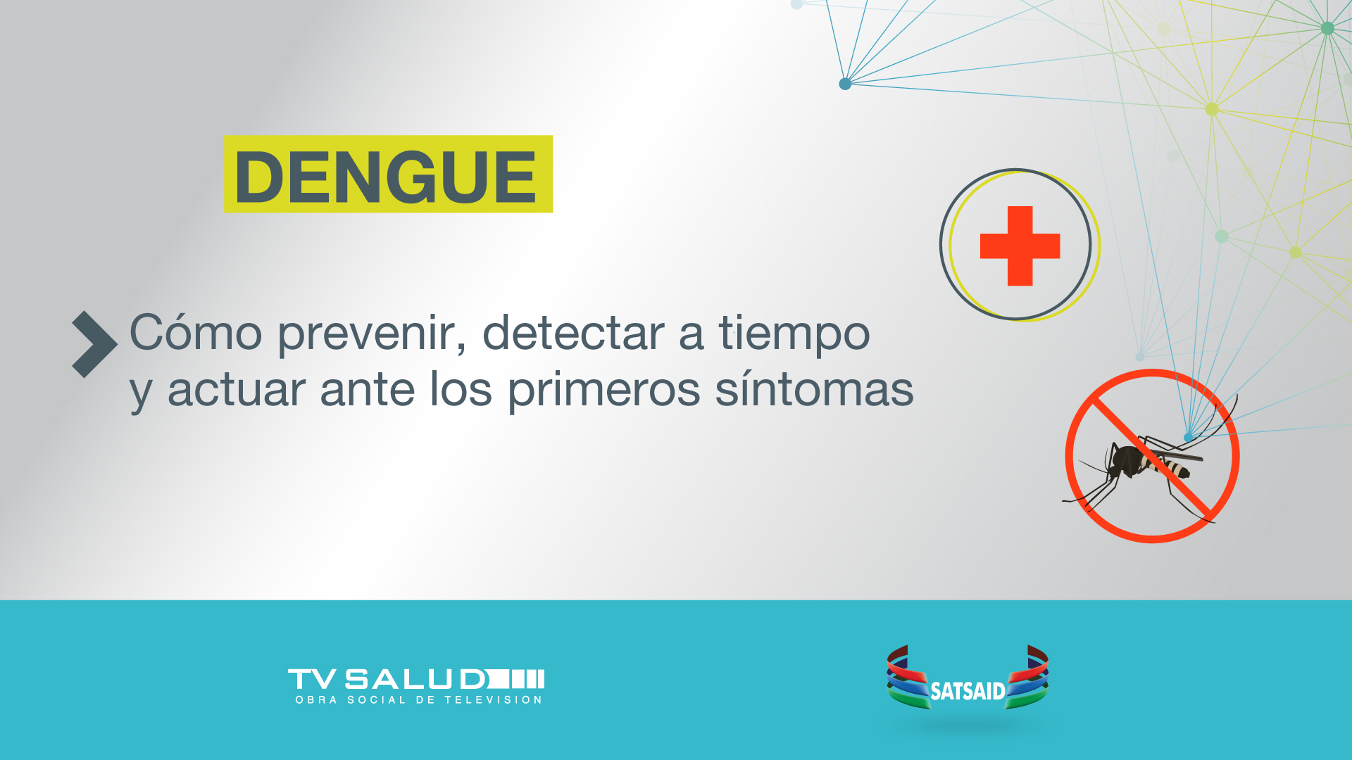 Dengue: cómo prevenir, detectar a tiempo y actuar ante los primeros síntomas 